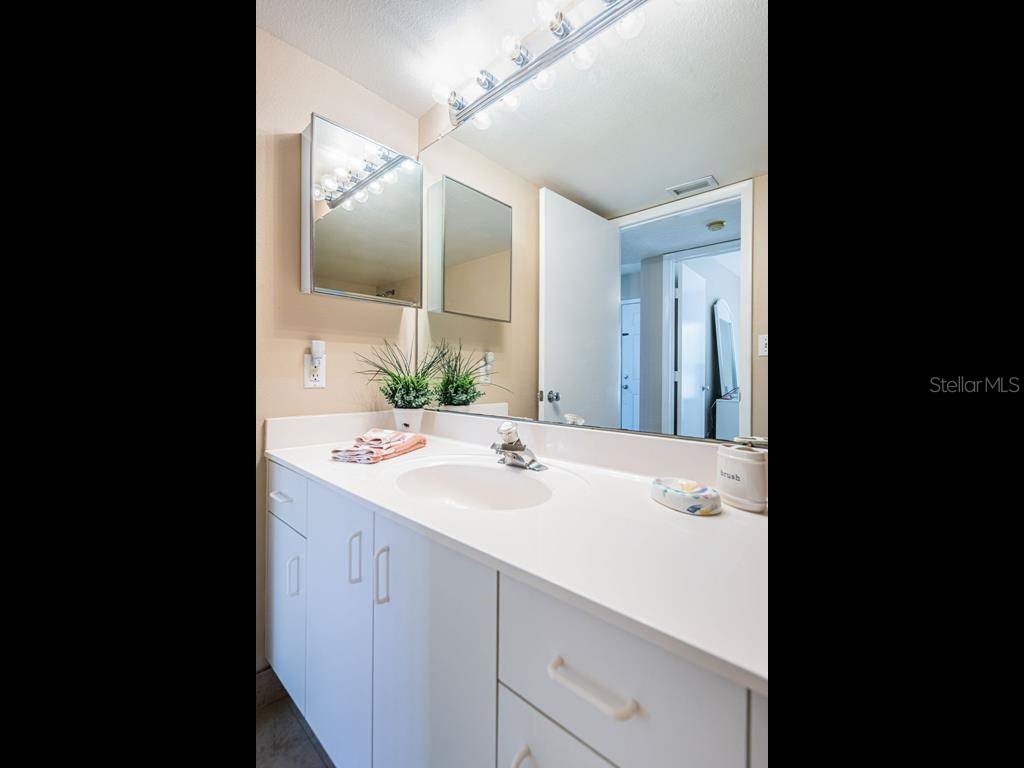 6093 Bahia Del Mar Circle #478 Saint Petersburg FL 33715 U8239699 image18