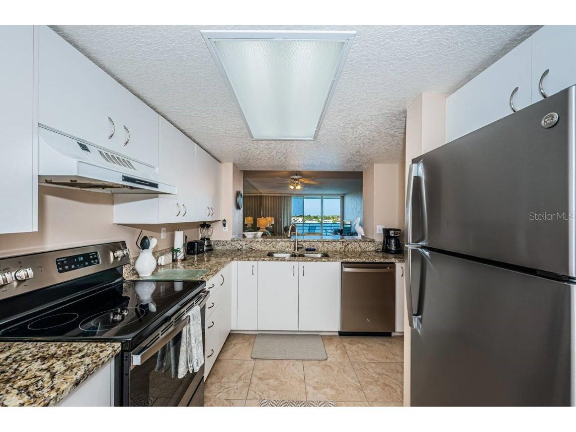 6093 Bahia Del Mar Circle #478 Saint Petersburg FL 33715 U8239699 image3