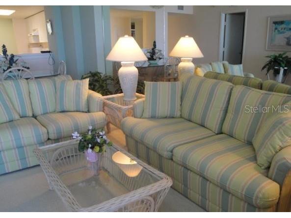 6093 Bahia Del Mar Circle #478 Saint Petersburg FL 33715 U8239699 image8