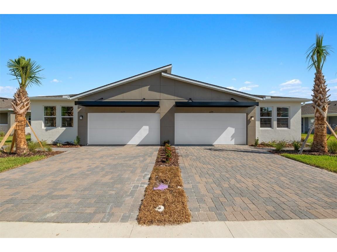 6093 Timberdale Avenue Wesley Chapel FL 33545 T3529205 image1