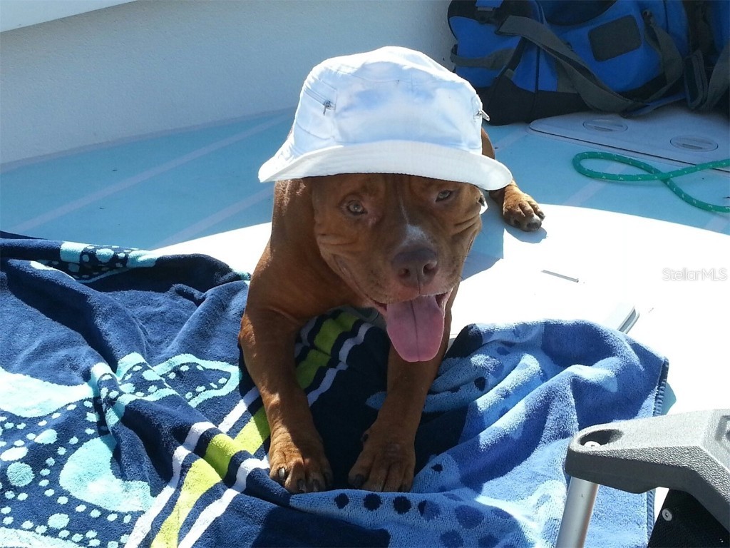 6094 Collier Street Englewood FL 34224 D6142259 image11