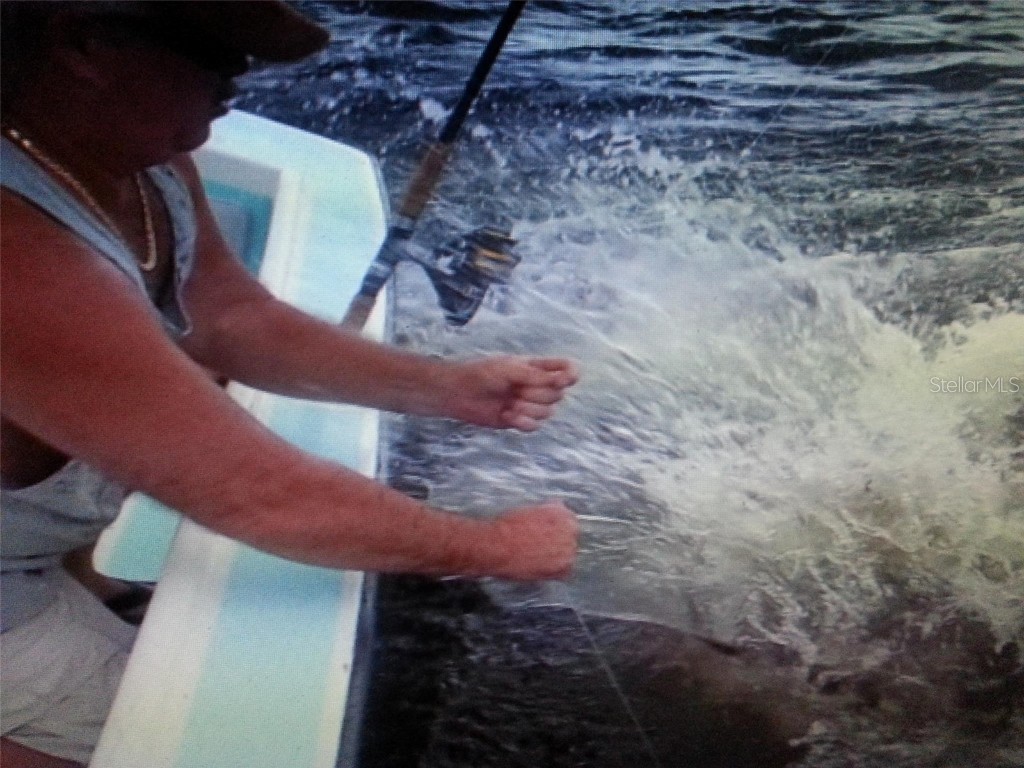 6094 Collier Street Englewood FL 34224 D6142259 image13