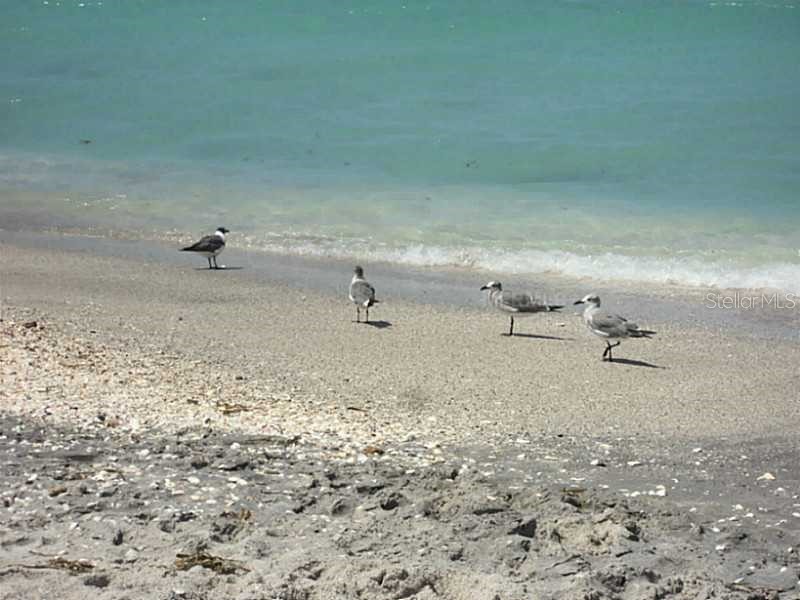 6094 Collier Street Englewood FL 34224 D6142259 image14