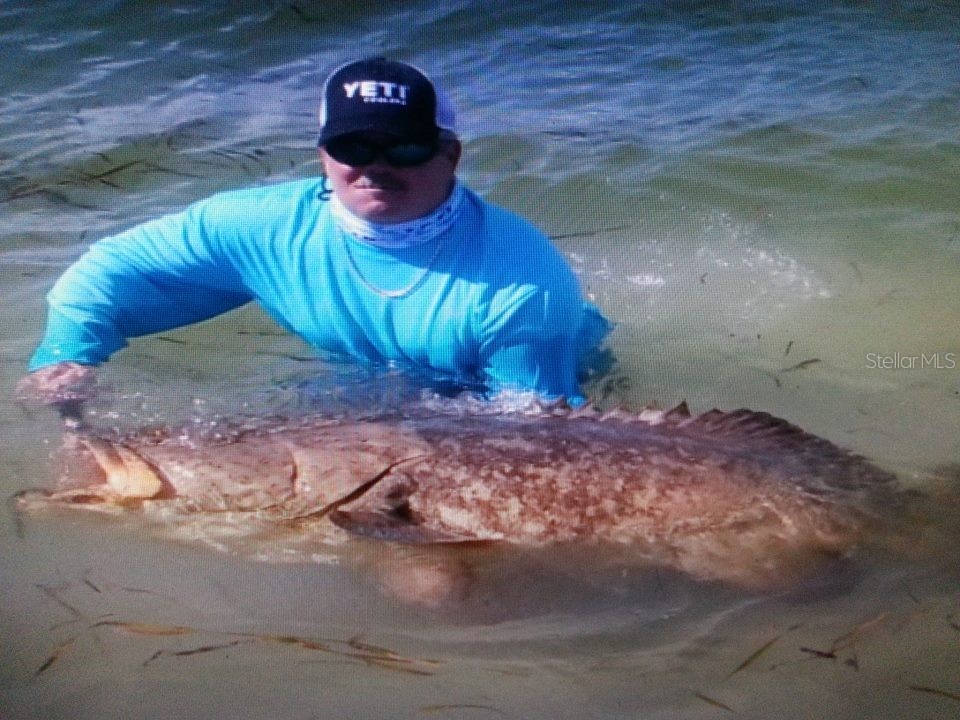 6094 Collier Street Englewood FL 34224 D6142259 image16