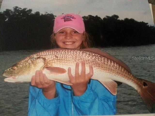 6094 Collier Street Englewood FL 34224 D6142259 image18