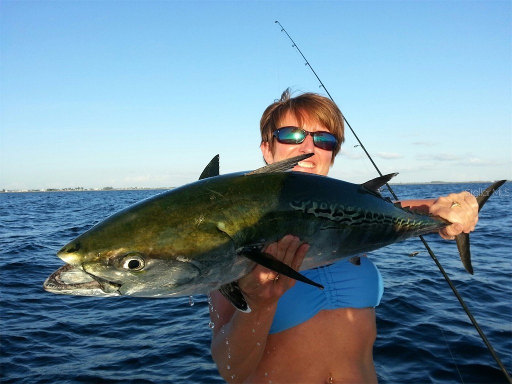 6094 Collier Street Englewood FL 34224 D6142259 image19