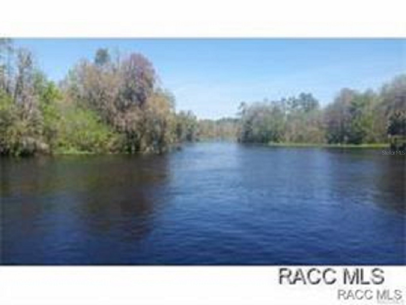 6094 E Rush Street Inverness FL 34452 OM719399 image67