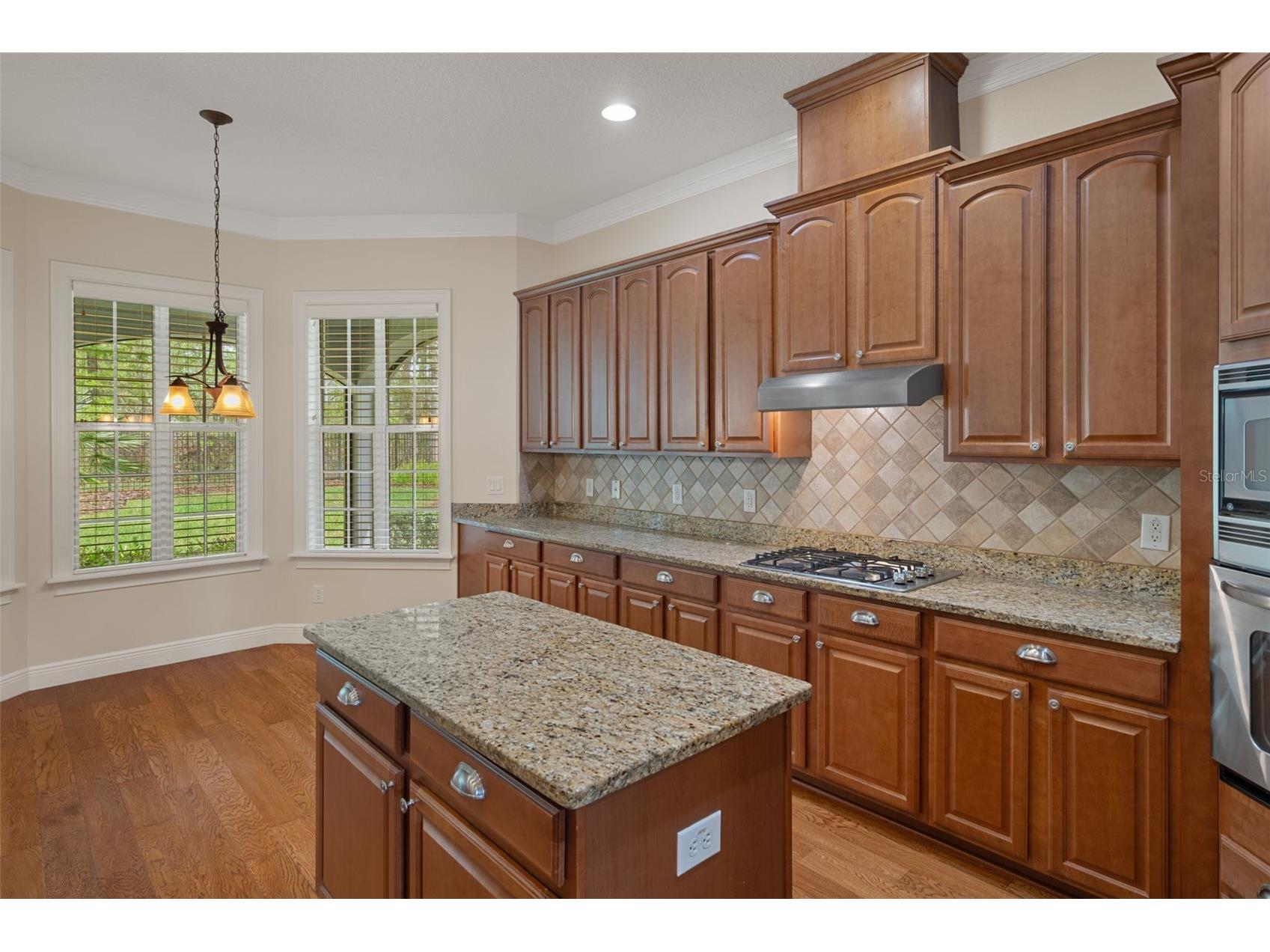 6096 Dusk Rose Lane Brooksville FL 34601 W7883949 image31