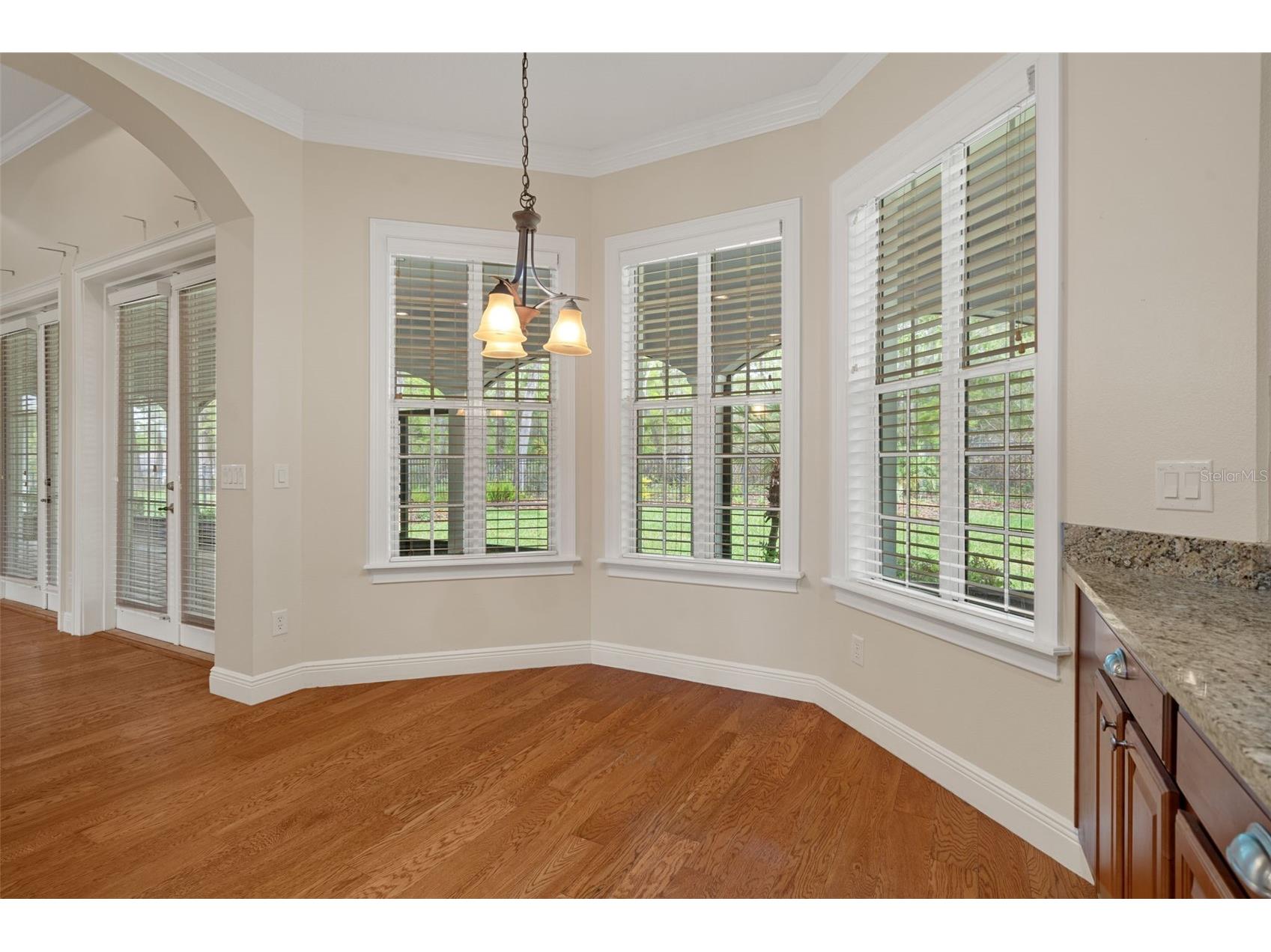 6096 Dusk Rose Lane Brooksville FL 34601 W7883949 image35