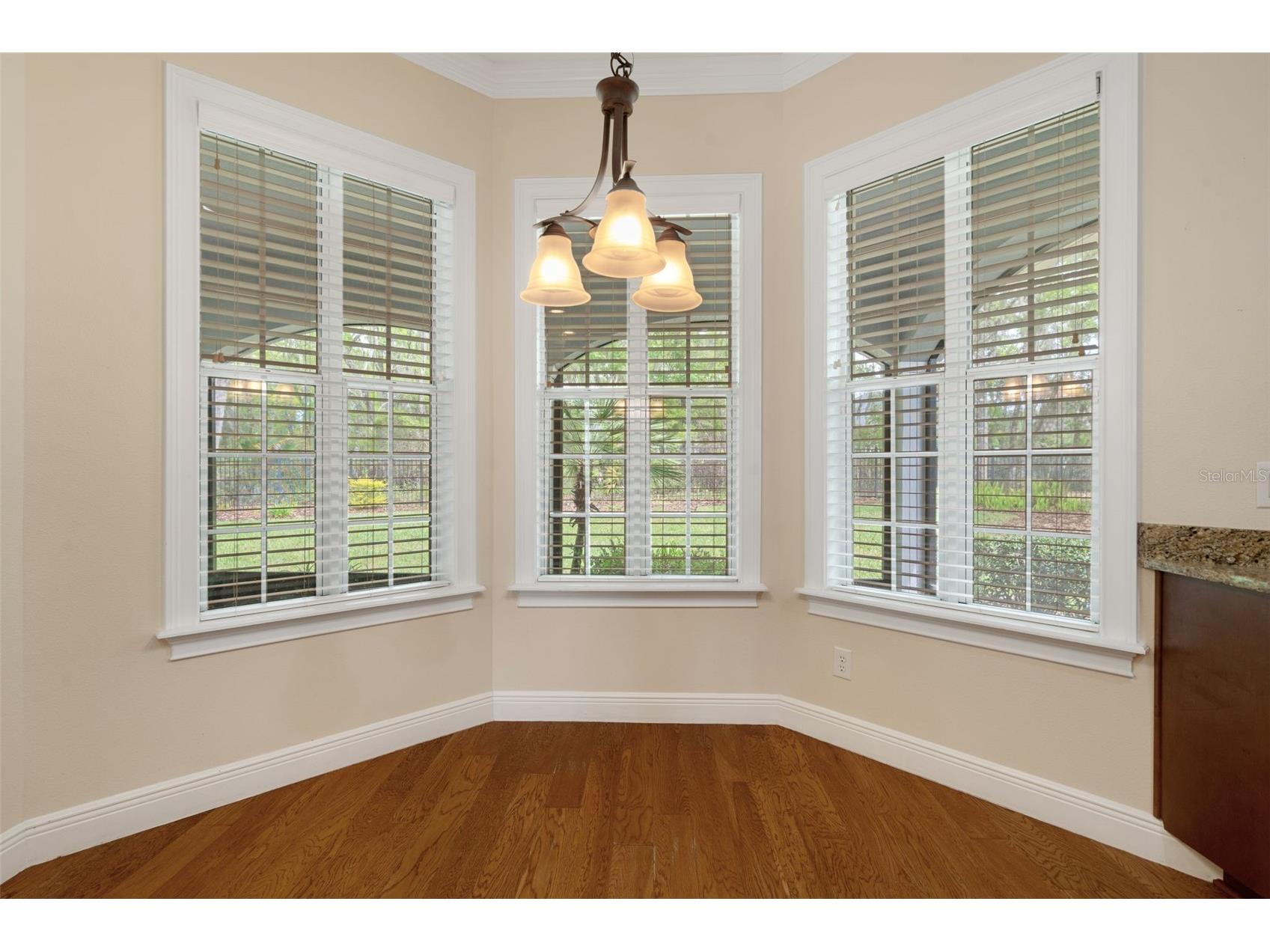 6096 Dusk Rose Lane Brooksville FL 34601 W7883949 image36
