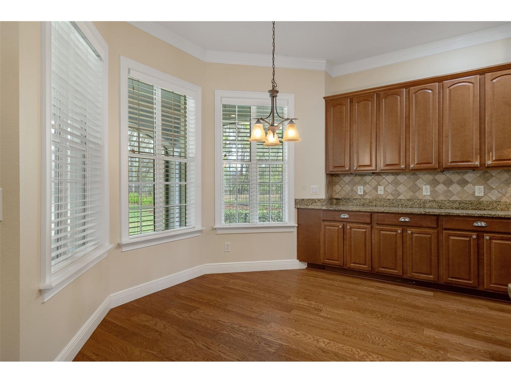 6096 Dusk Rose Lane Brooksville FL 34601 W7883949 image37