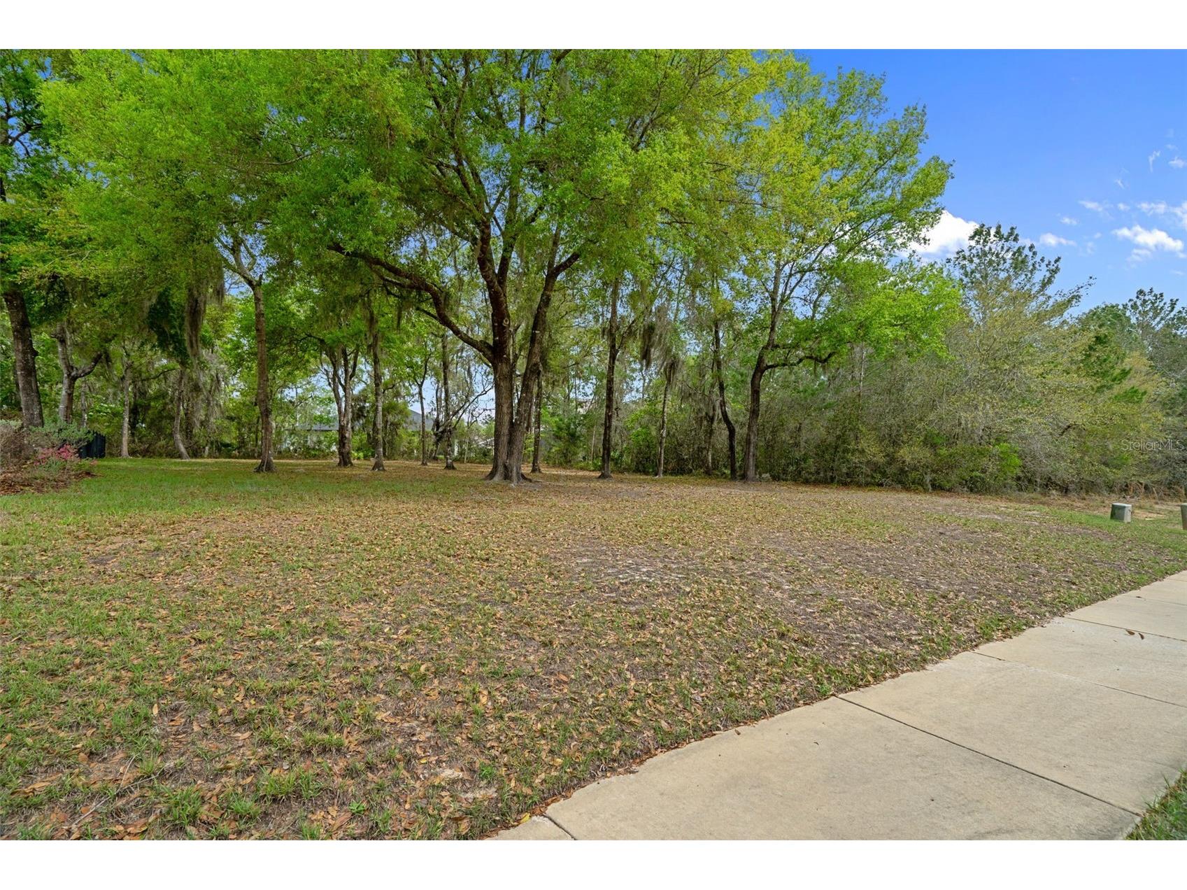 6096 Dusk Rose Lane Brooksville FL 34601 W7883949 image68