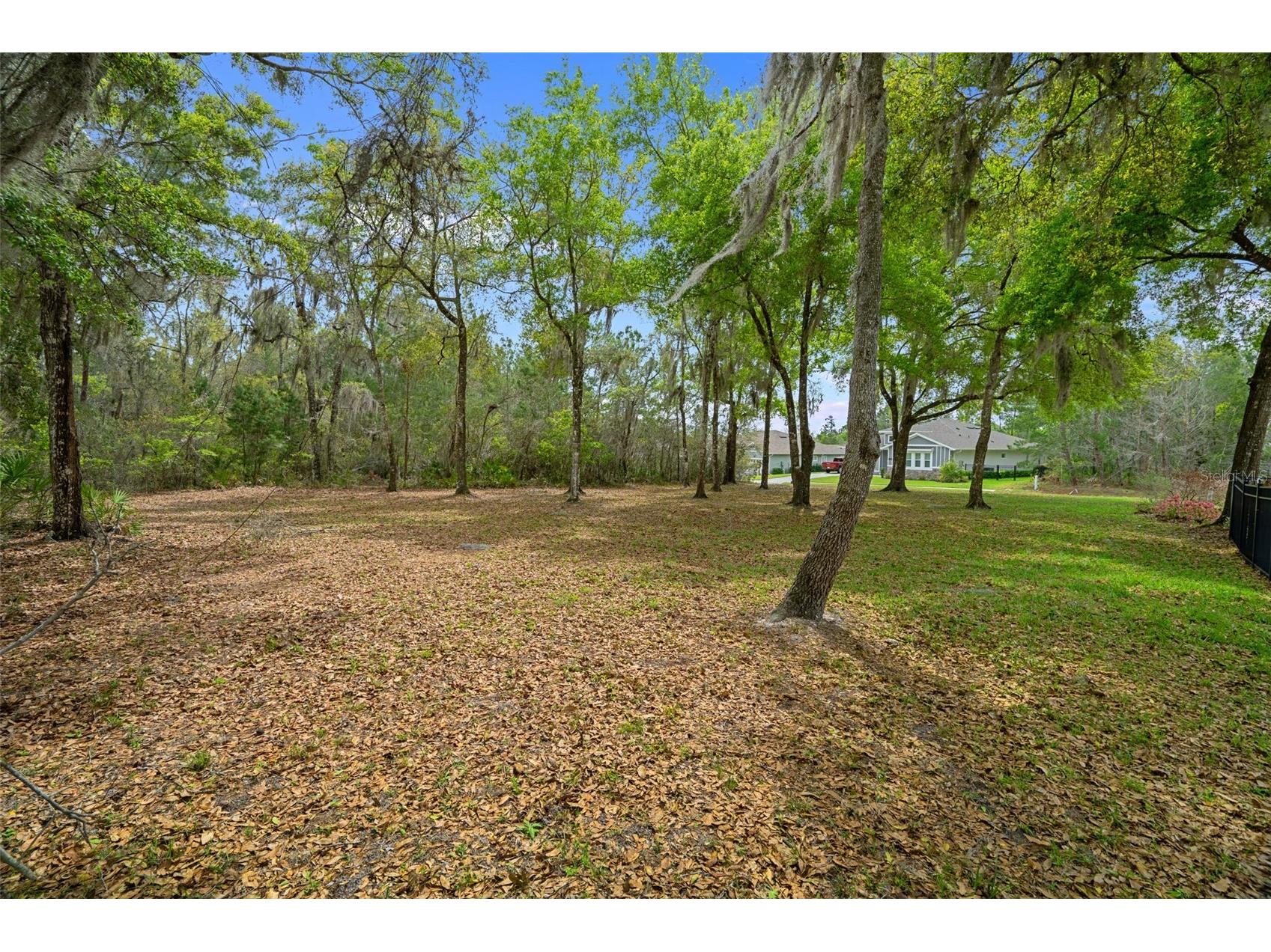 6096 Dusk Rose Lane Brooksville FL 34601 W7883949 image70