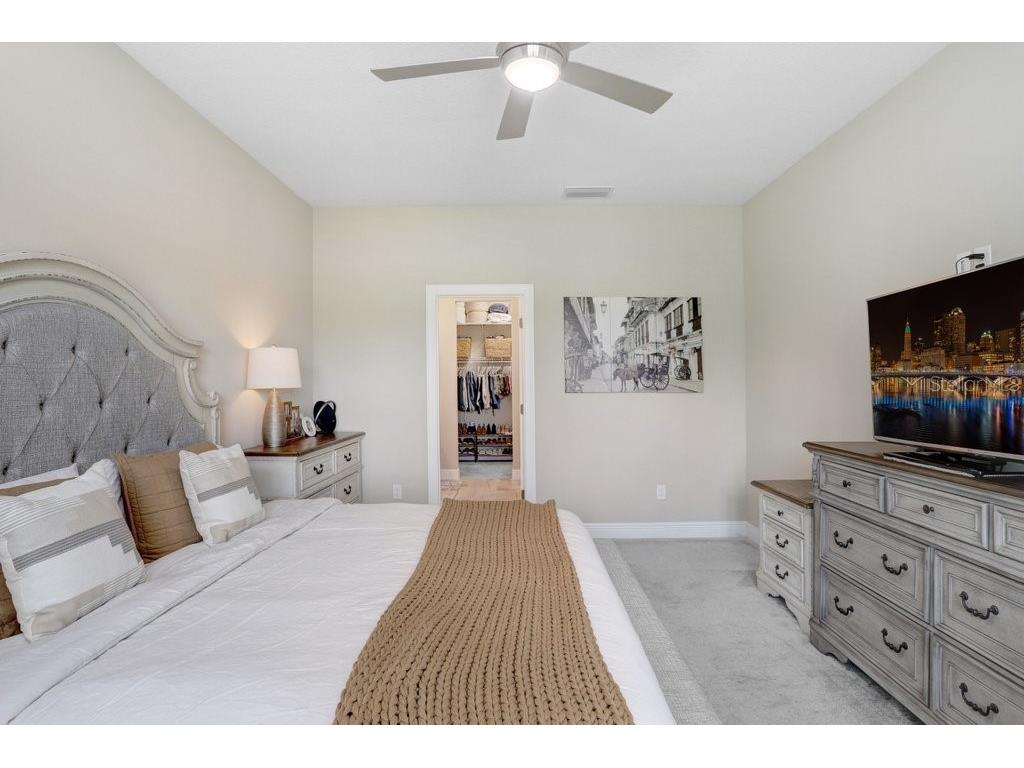 6097 Golden Nettle Drive Apollo Beach FL 33572 TB8390448 image21