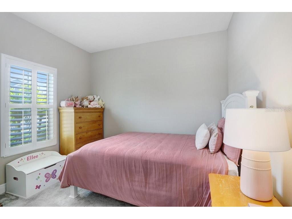 6097 Golden Nettle Drive Apollo Beach FL 33572 TB8390448 image23