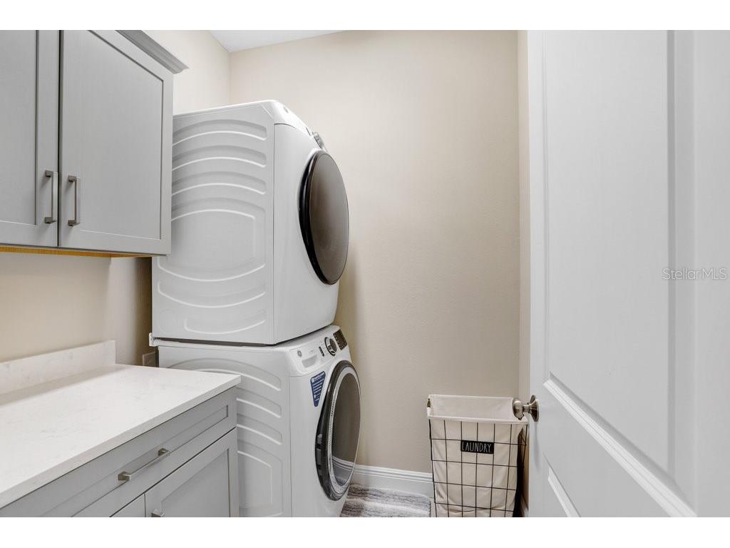 6097 Golden Nettle Drive Apollo Beach FL 33572 TB8390448 image28