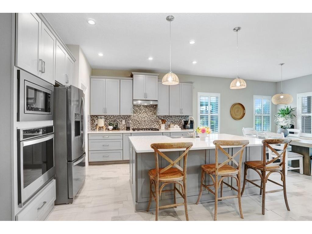 6097 Golden Nettle Drive Apollo Beach FL 33572 TB8390448 image3