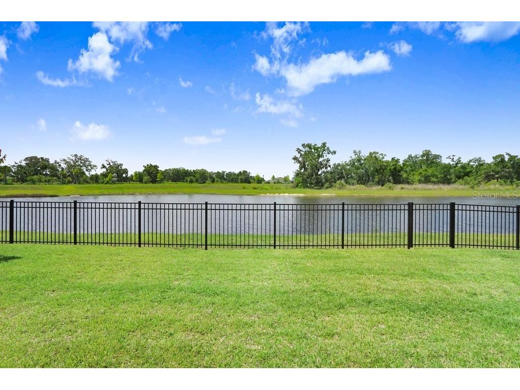 6097 Golden Nettle Drive Apollo Beach FL 33572 TB8390448 image32