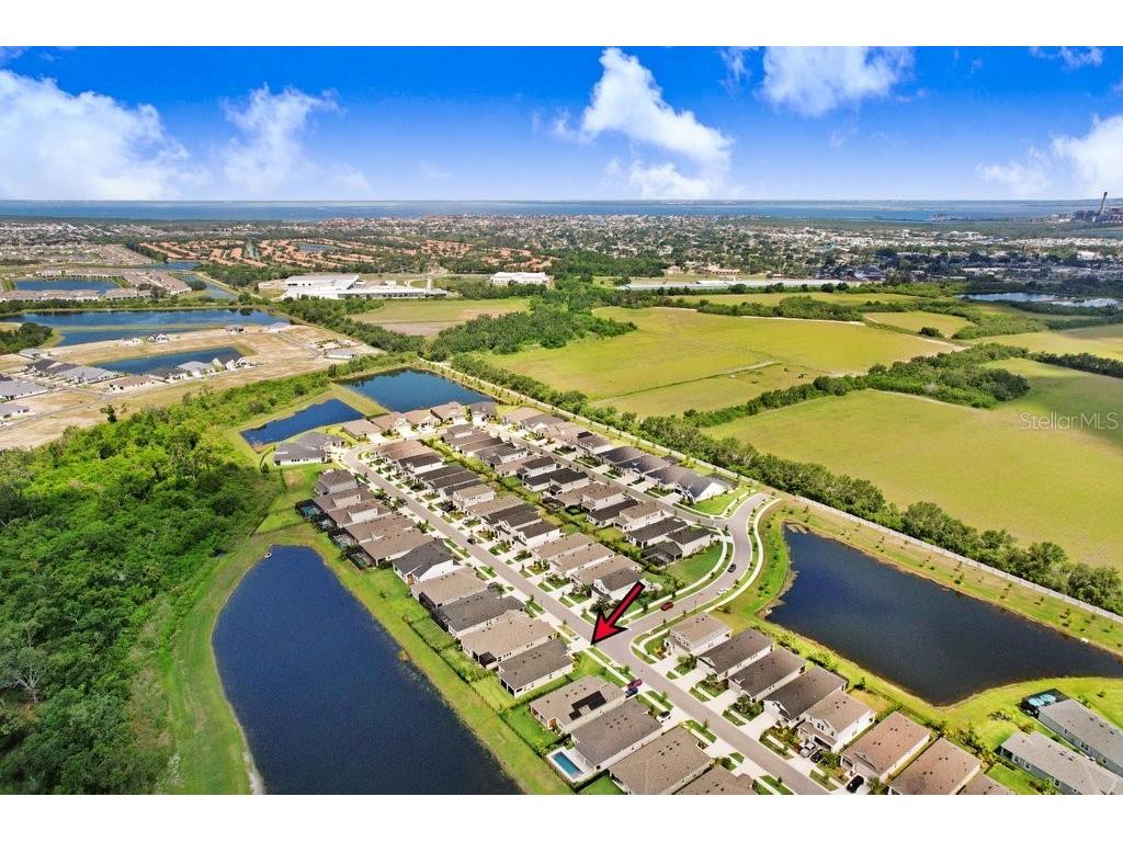 6097 Golden Nettle Drive Apollo Beach FL 33572 TB8390448 image42