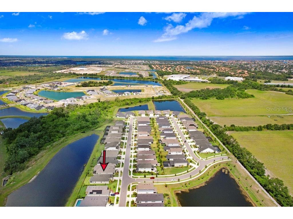 6097 Golden Nettle Drive Apollo Beach FL 33572 TB8390448 image43