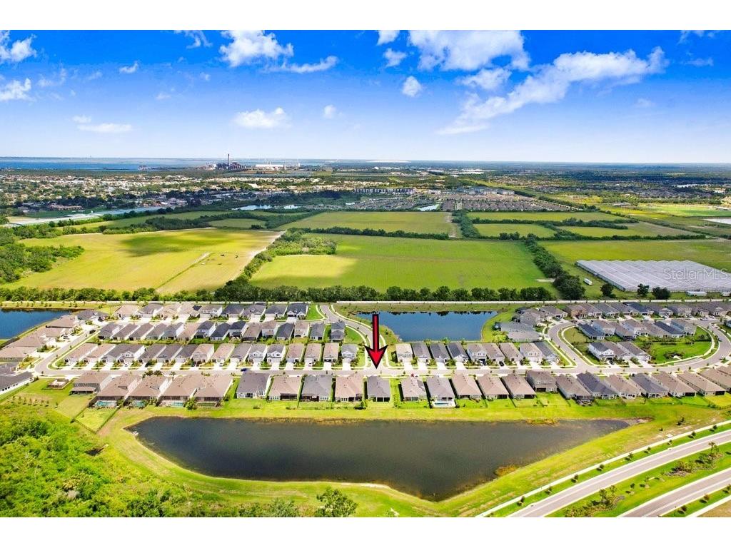 6097 Golden Nettle Drive Apollo Beach FL 33572 TB8390448 image44