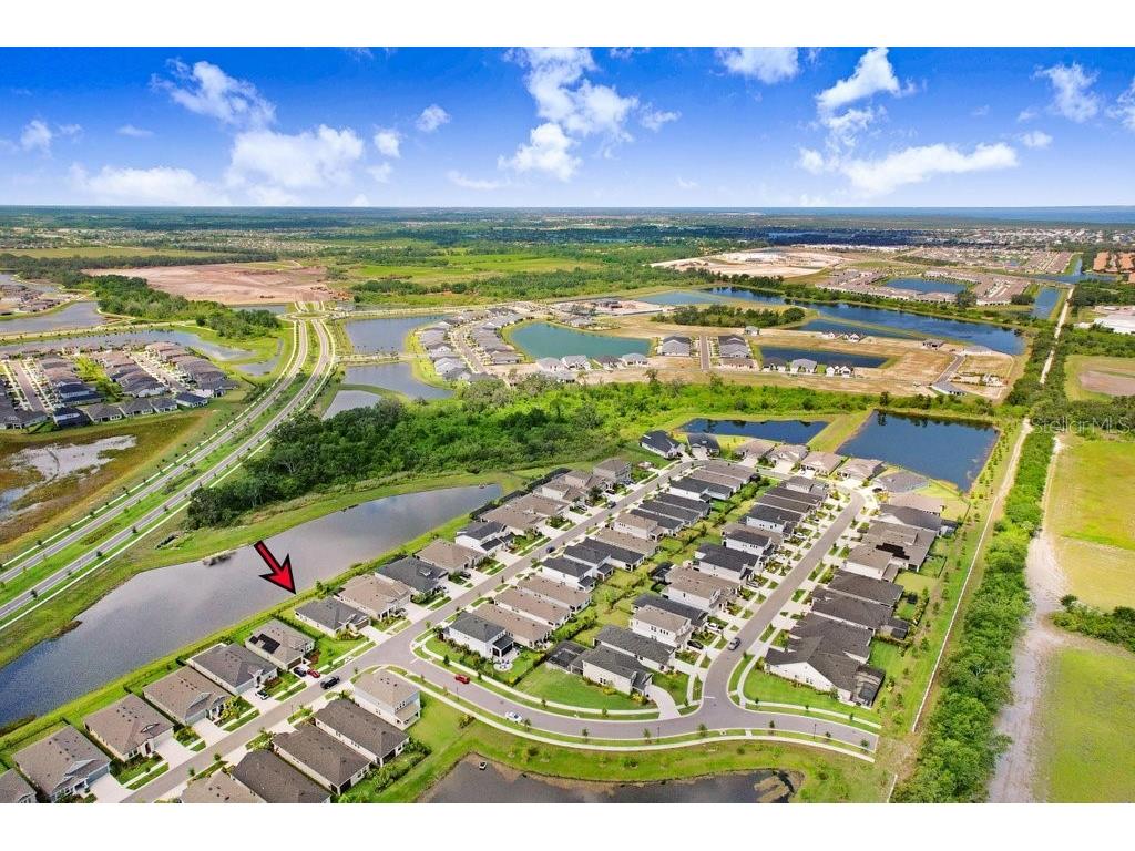 6097 Golden Nettle Drive Apollo Beach FL 33572 TB8390448 image46