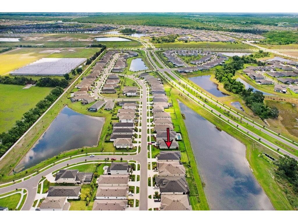 6097 Golden Nettle Drive Apollo Beach FL 33572 TB8390448 image47