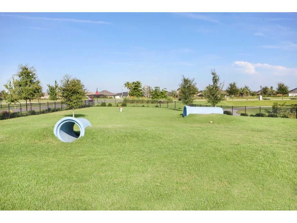 6097 Golden Nettle Drive Apollo Beach FL 33572 TB8390448 image48