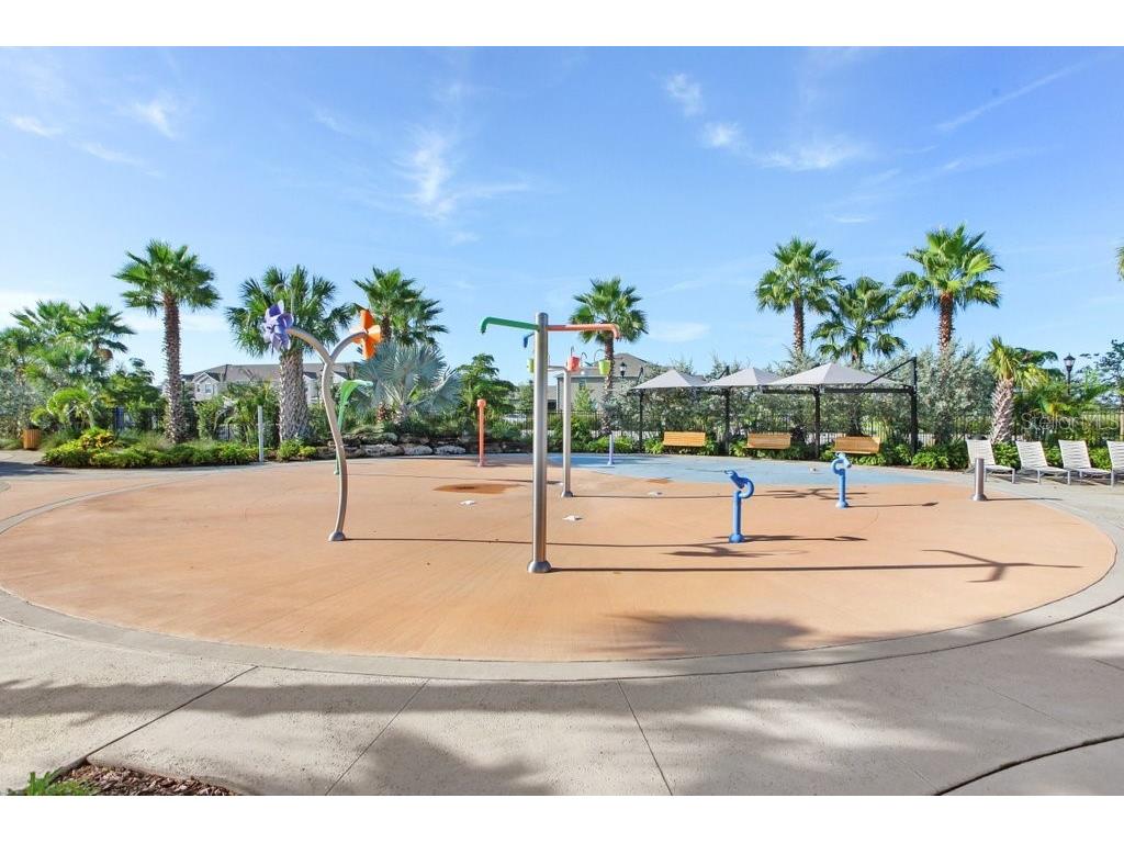 6097 Golden Nettle Drive Apollo Beach FL 33572 TB8390448 image49