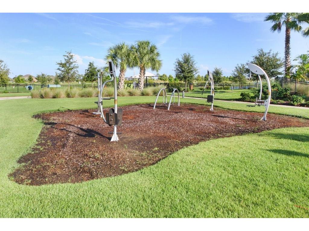 6097 Golden Nettle Drive Apollo Beach FL 33572 TB8390448 image51