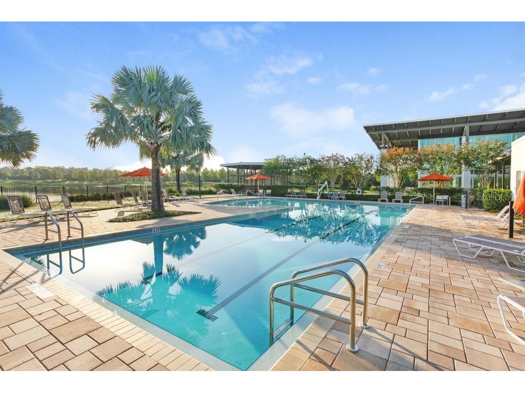 6097 Golden Nettle Drive Apollo Beach FL 33572 TB8390448 image52