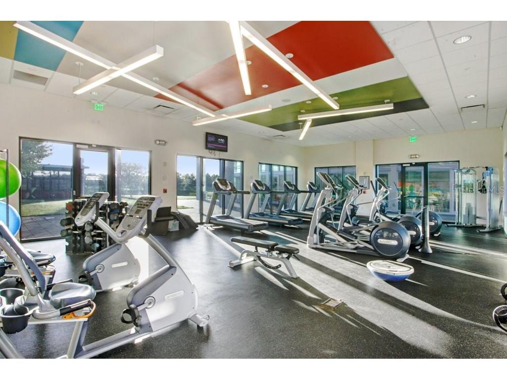 6097 Golden Nettle Drive Apollo Beach FL 33572 TB8390448 image63