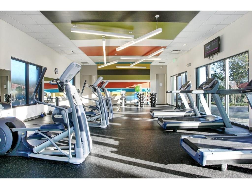 6097 Golden Nettle Drive Apollo Beach FL 33572 TB8390448 image64