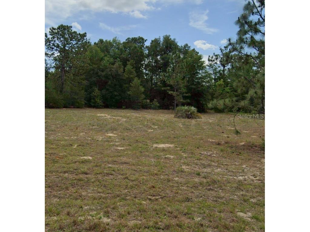 6098 W Alessi Place Dunnellon FL 34433 GC523712 image1