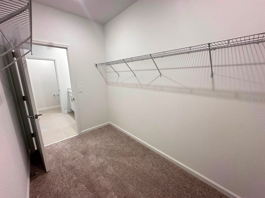6099 Wellbeing Way Clermont FL 34714 O6427138 image8