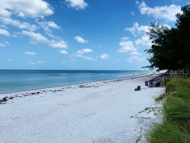 61 81st Avenue #2 Treasure Island FL 33706 TB8498154 image26