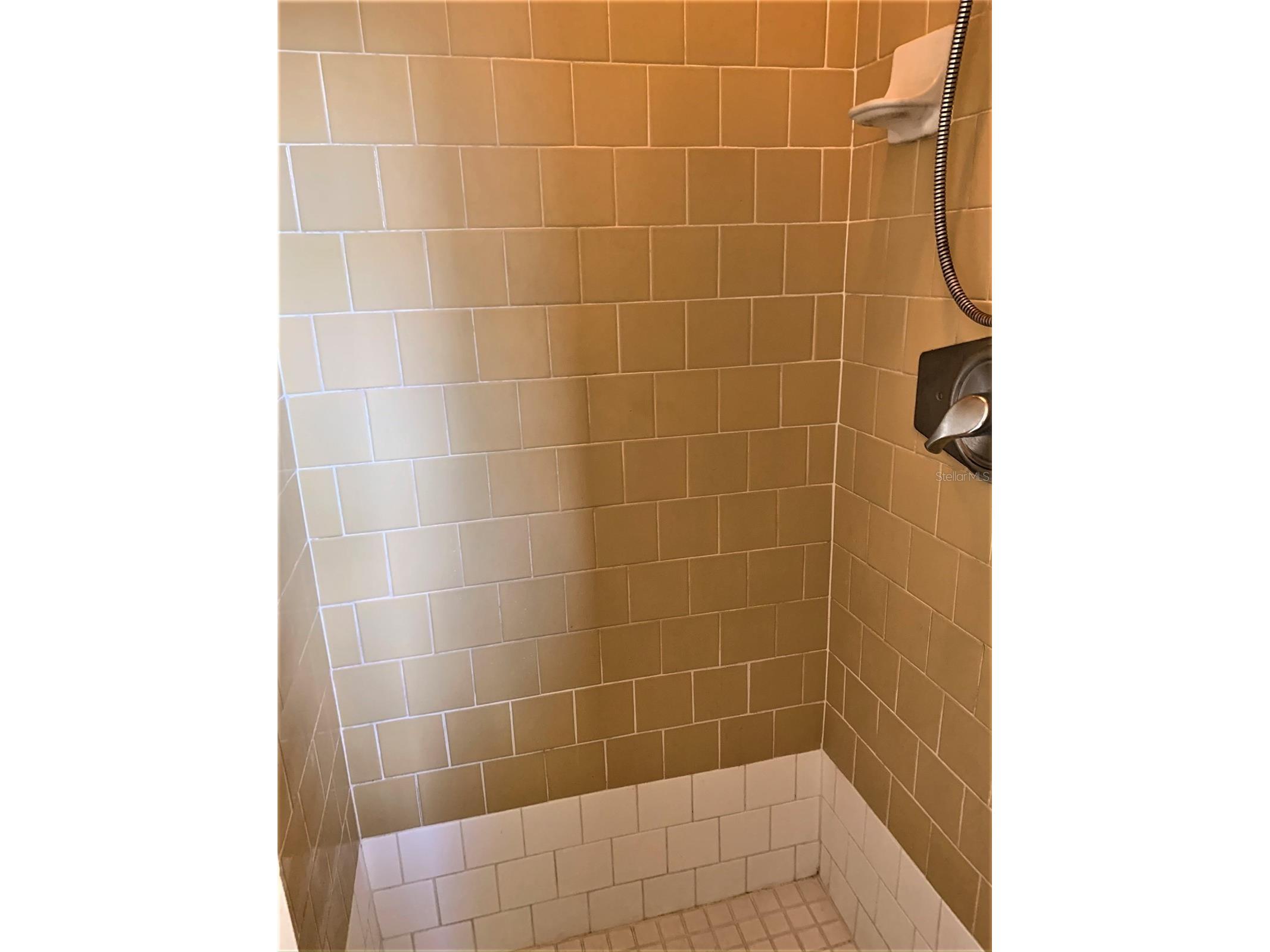 61 81st Avenue #3 Treasure Island FL 33706 TB8487046 image14