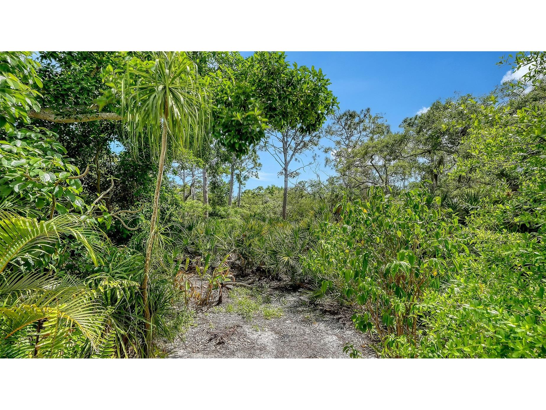 61 Bayhead Lane Osprey FL 34229 A4685559 image47