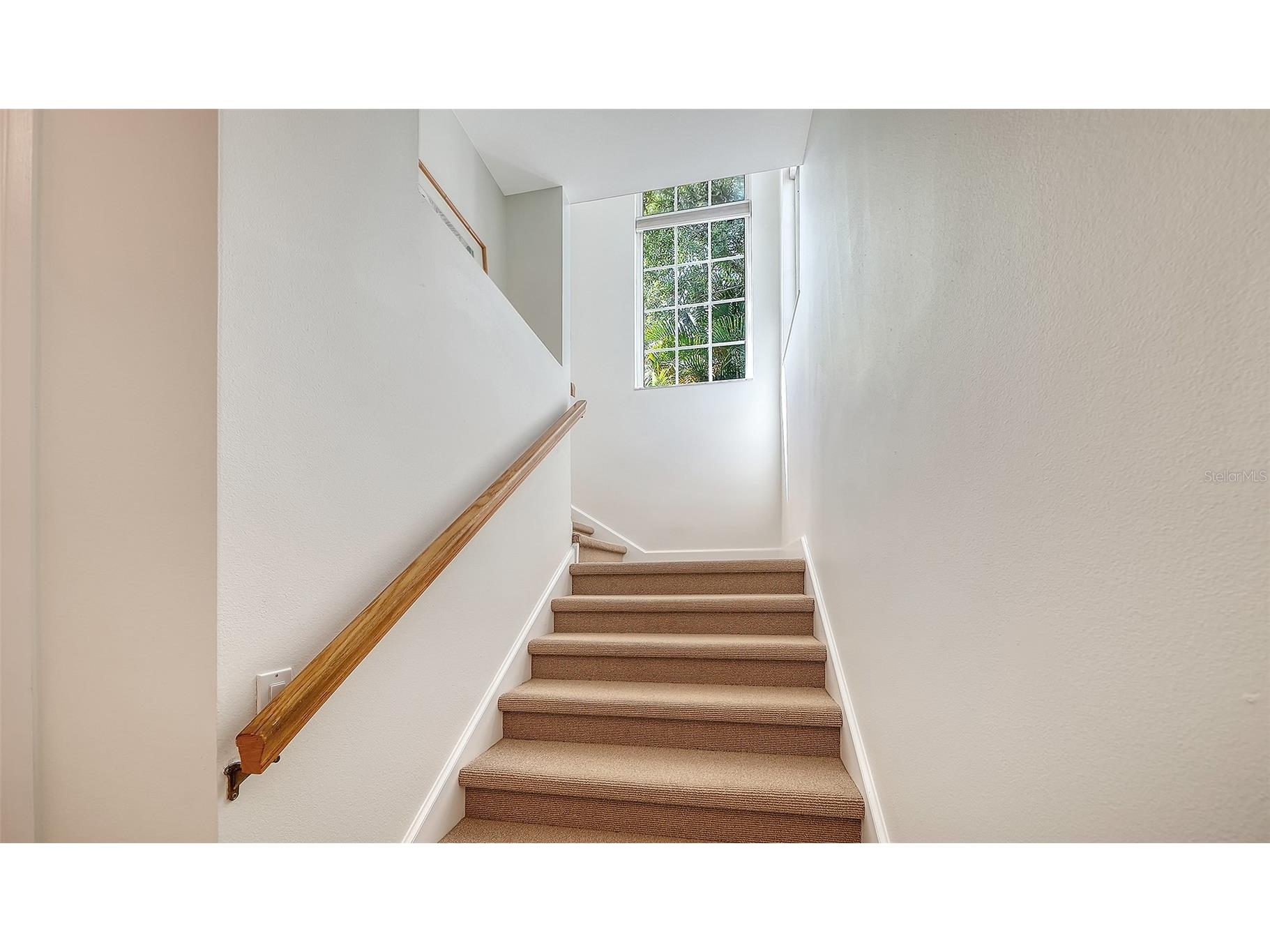 61 Bayhead Lane Osprey FL 34229 A4685559 image50