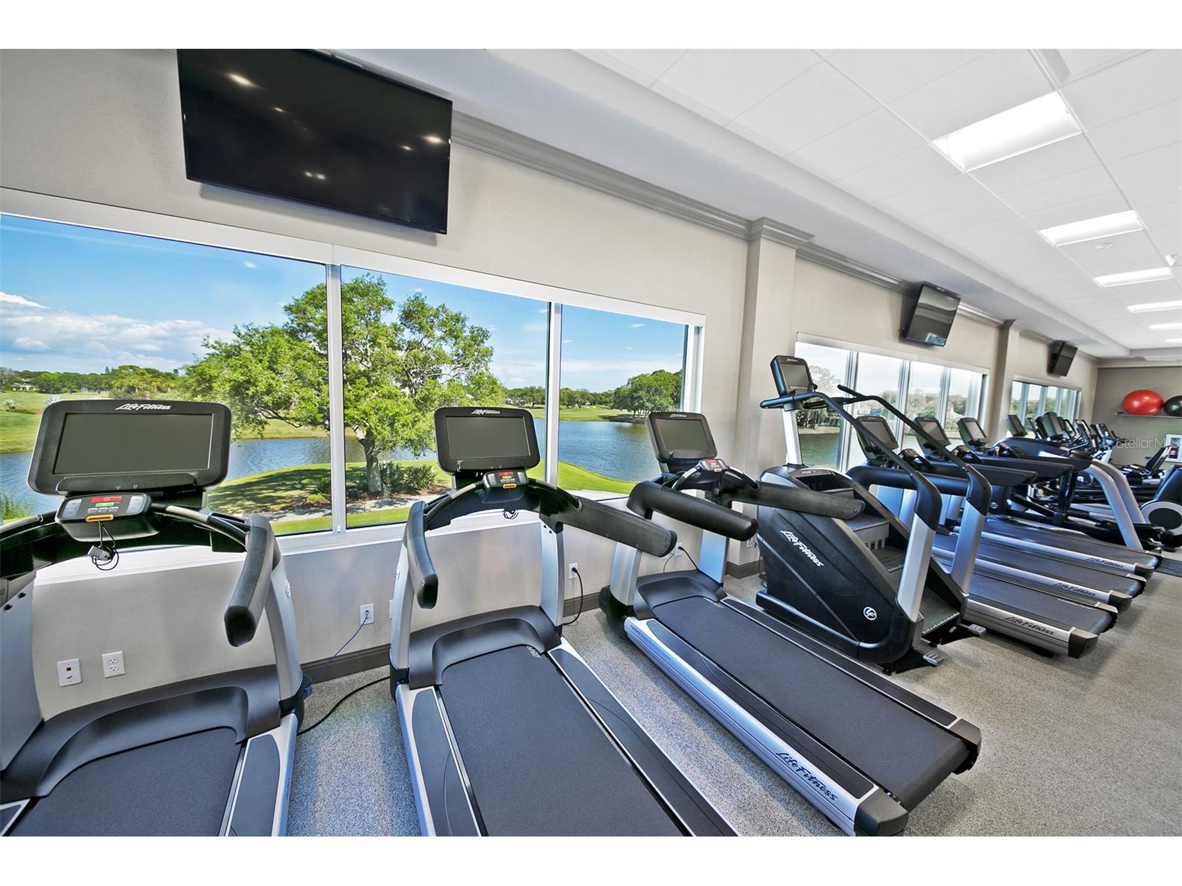 61 Bayhead Lane Osprey FL 34229 A4685559 image94