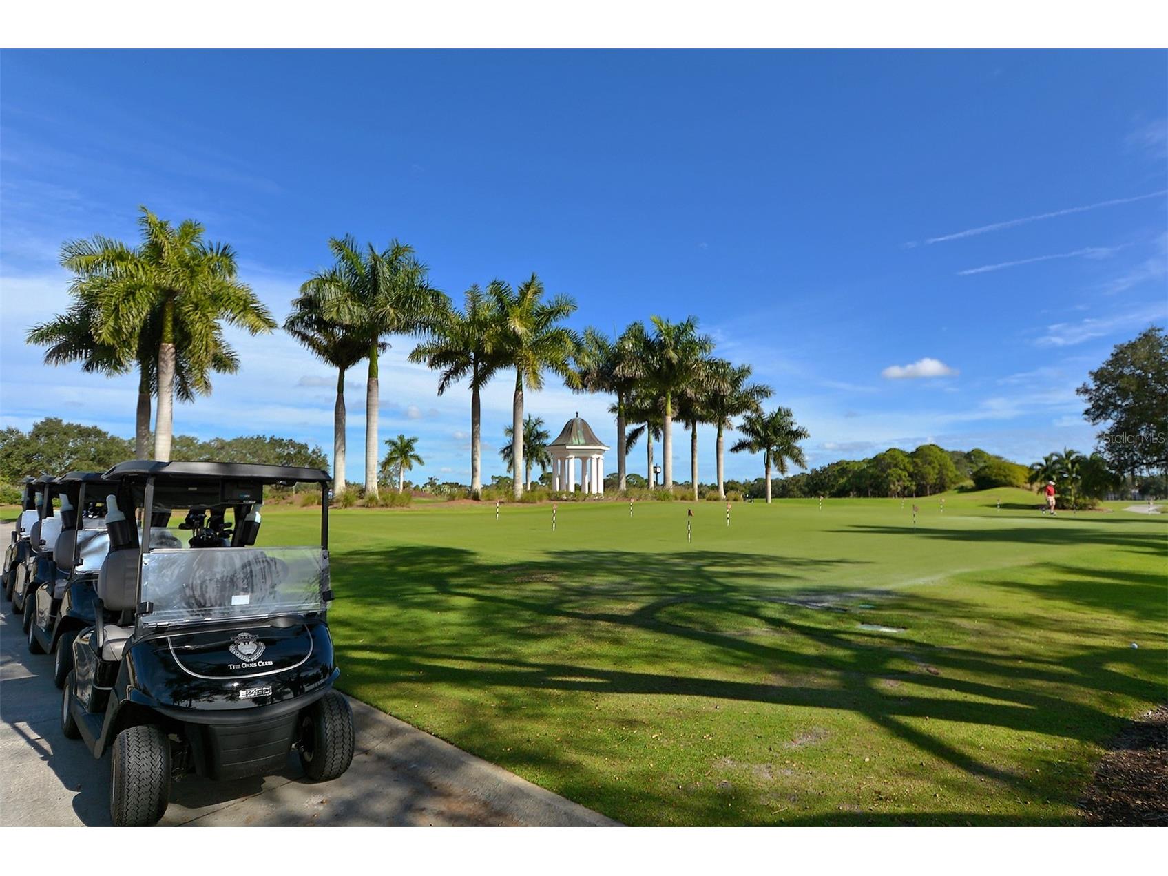 61 Bayhead Lane Osprey FL 34229 A4685559 image98