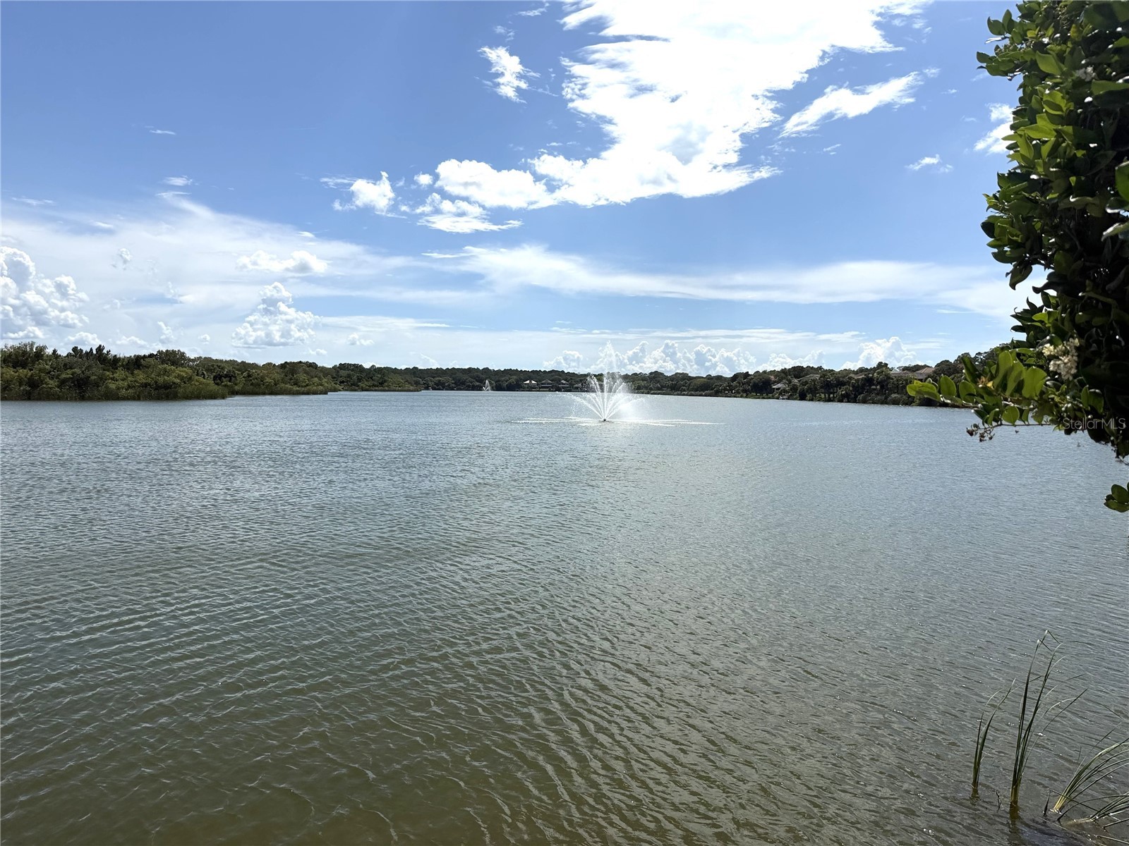 61 N Riverwalk Drive Palm Coast FL 32137 V4950080 image35