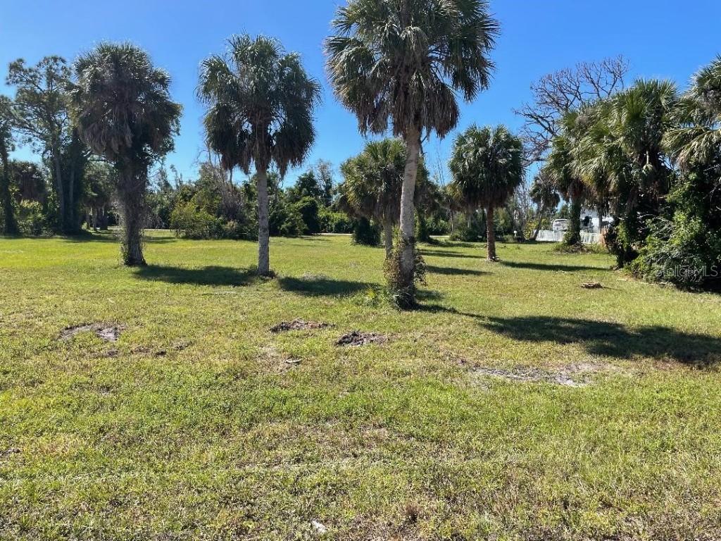 61 Pompano Street Placida FL 33946 D6133020 image1