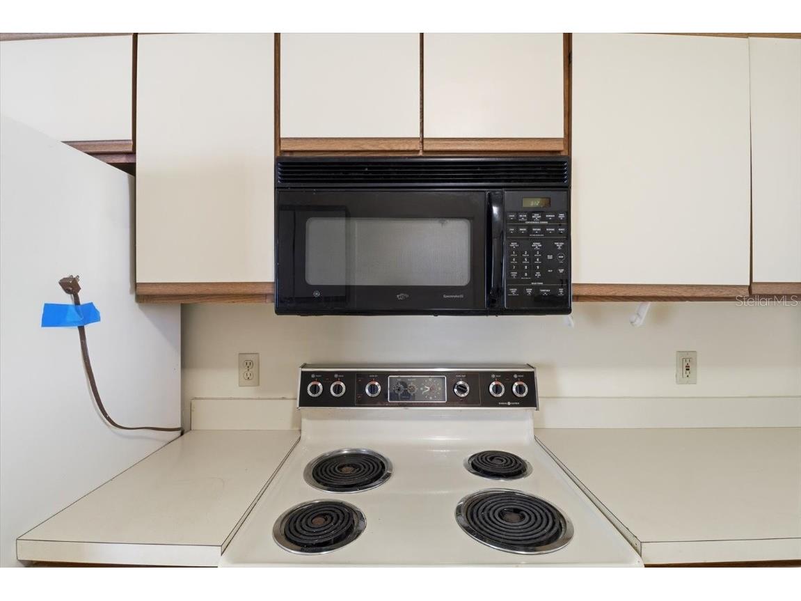 61 S Heron Creek Loop Inverness FL 34450 - TSALA APOPKA CHAIN OF LAKES OM713142 image11