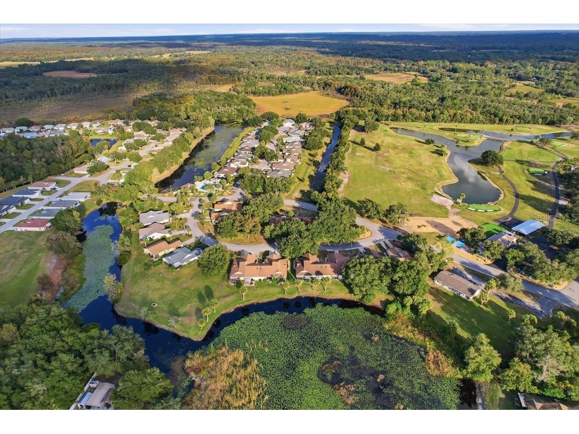 61 S Heron Creek Loop Inverness FL 34450 - TSALA APOPKA CHAIN OF LAKES OM713142 image32