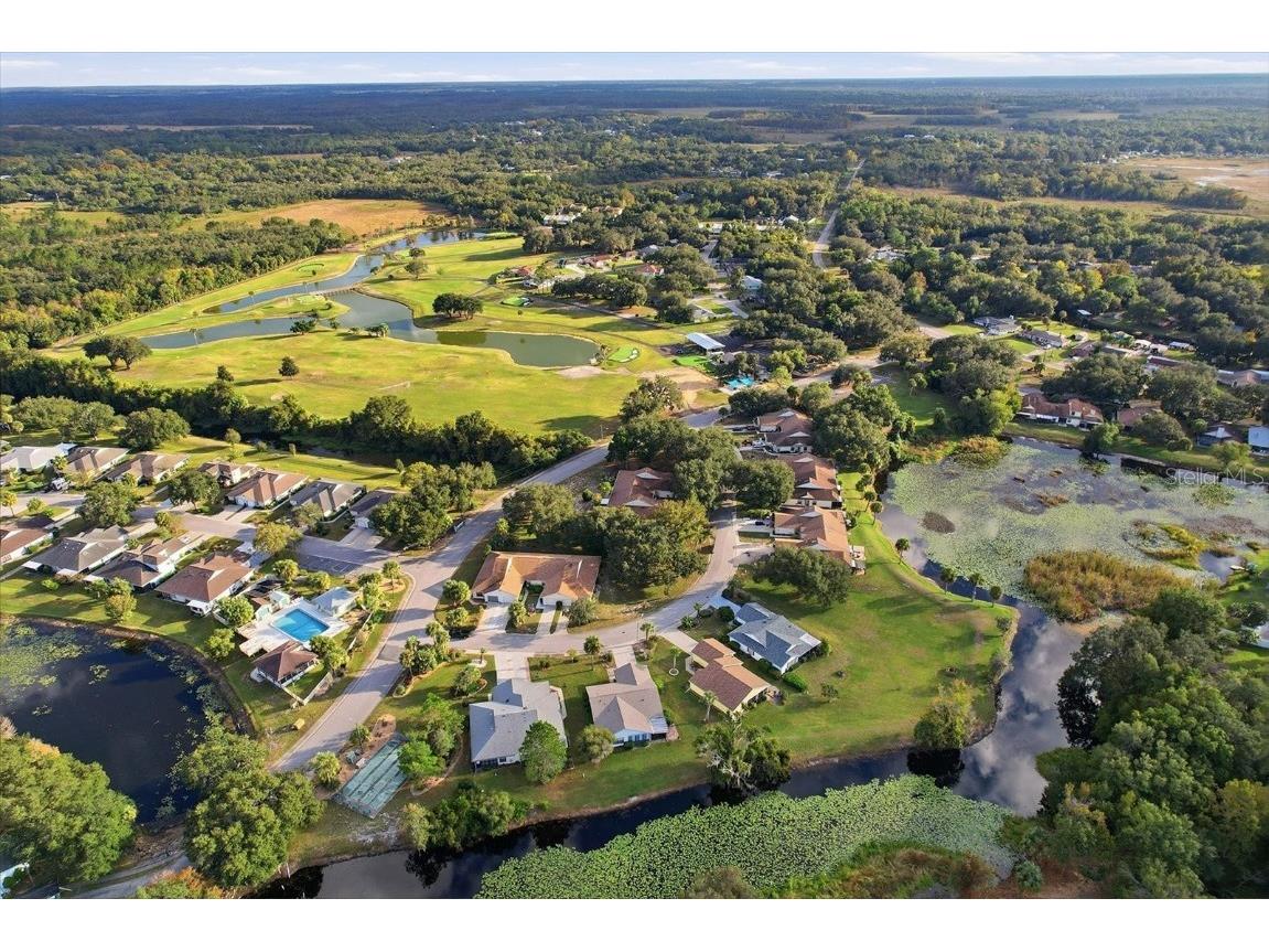 61 S Heron Creek Loop Inverness FL 34450 - TSALA APOPKA CHAIN OF LAKES OM713142 image33