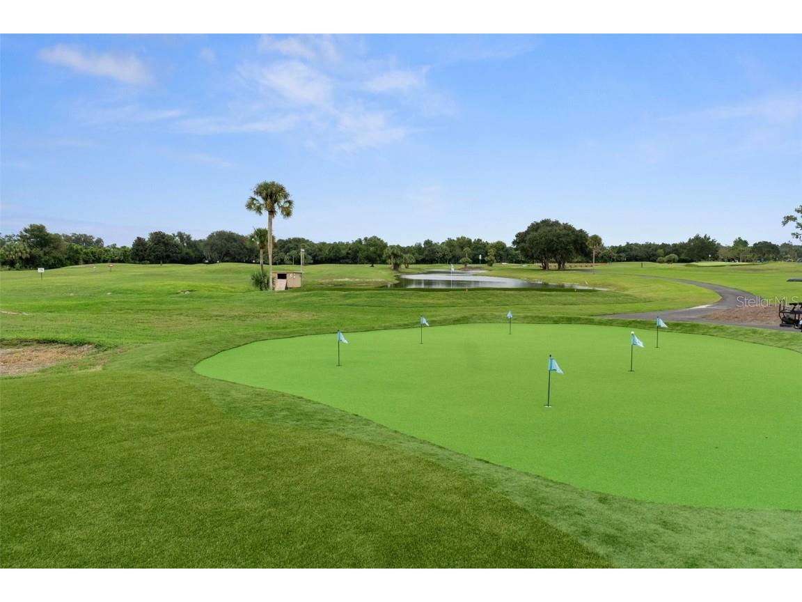 61 S Heron Creek Loop Inverness FL 34450 - TSALA APOPKA CHAIN OF LAKES OM713142 image40