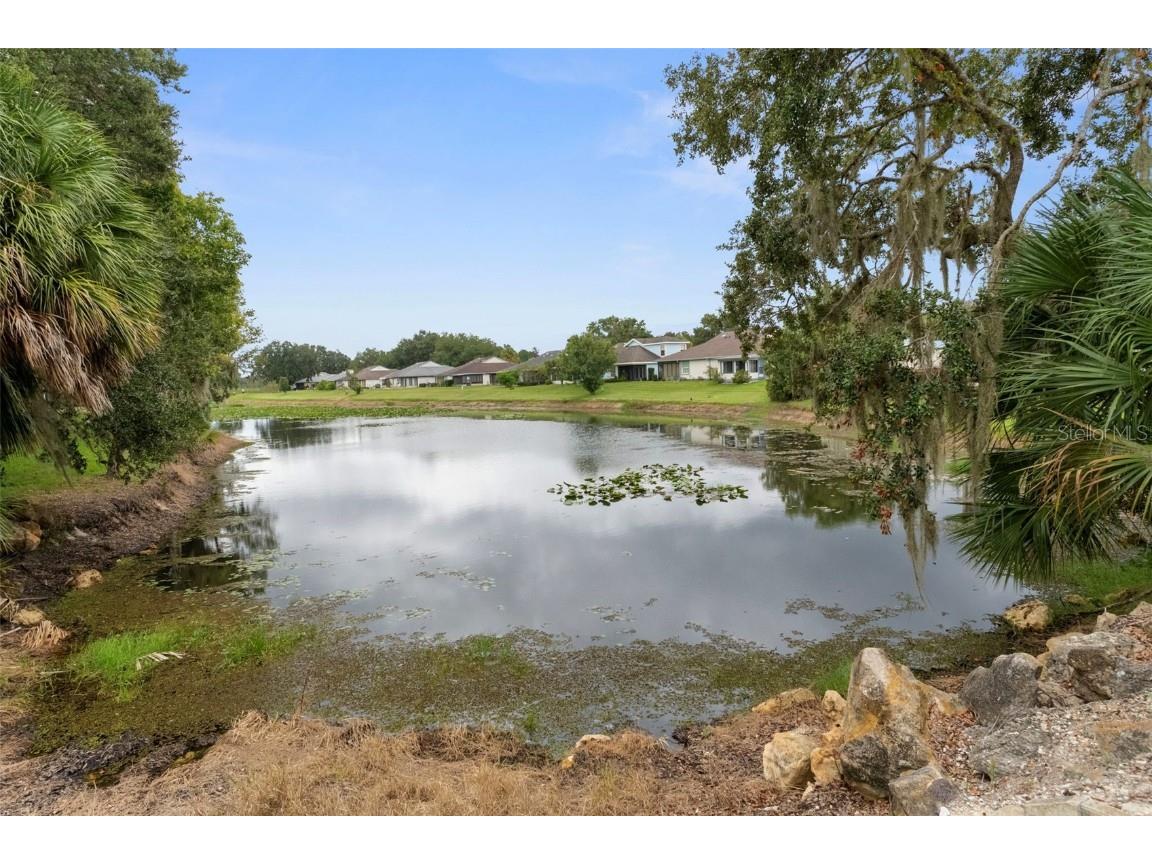 61 S Heron Creek Loop Inverness FL 34450 - TSALA APOPKA CHAIN OF LAKES OM713142 image44