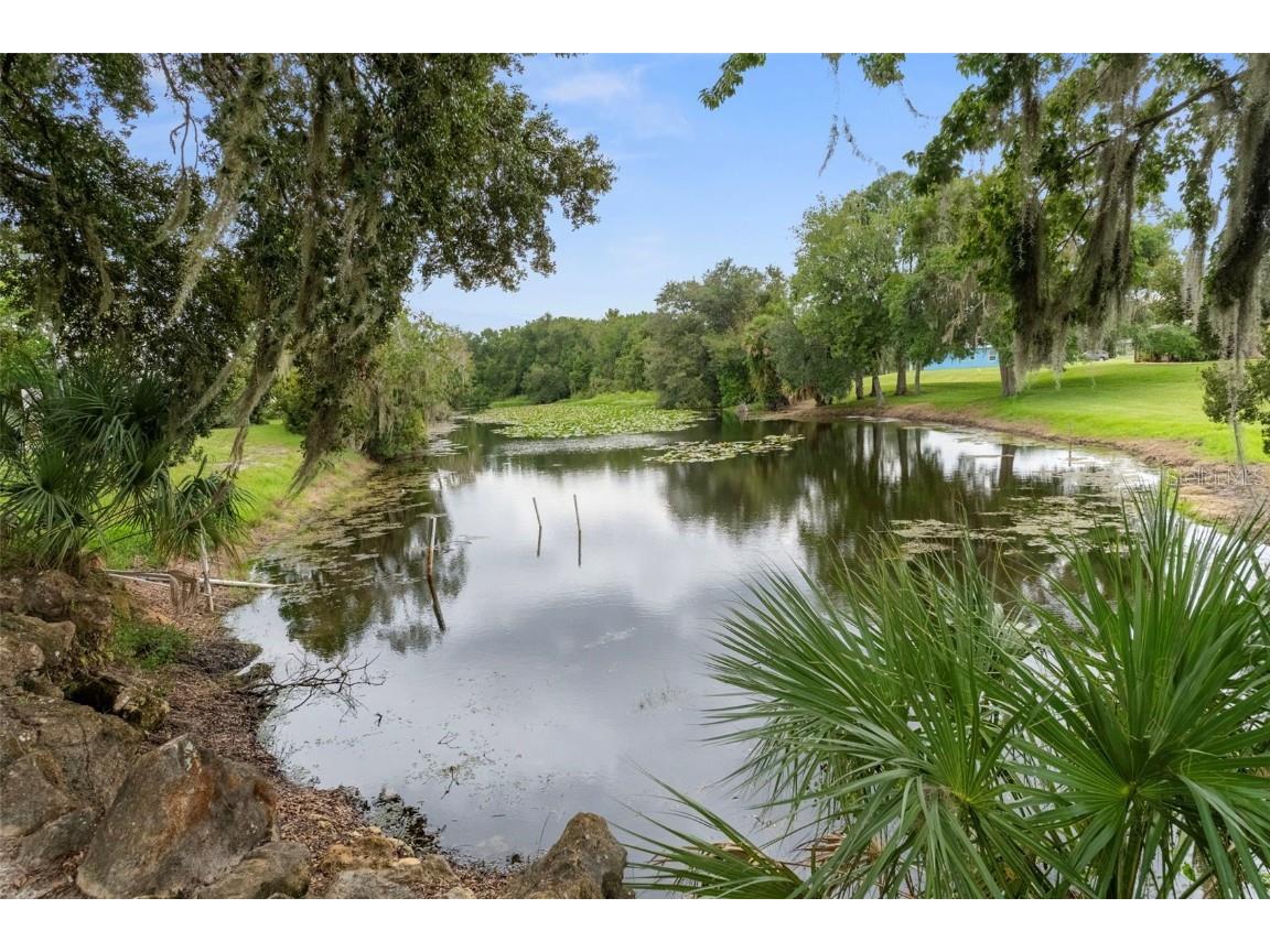 61 S Heron Creek Loop Inverness FL 34450 - TSALA APOPKA CHAIN OF LAKES OM713142 image45