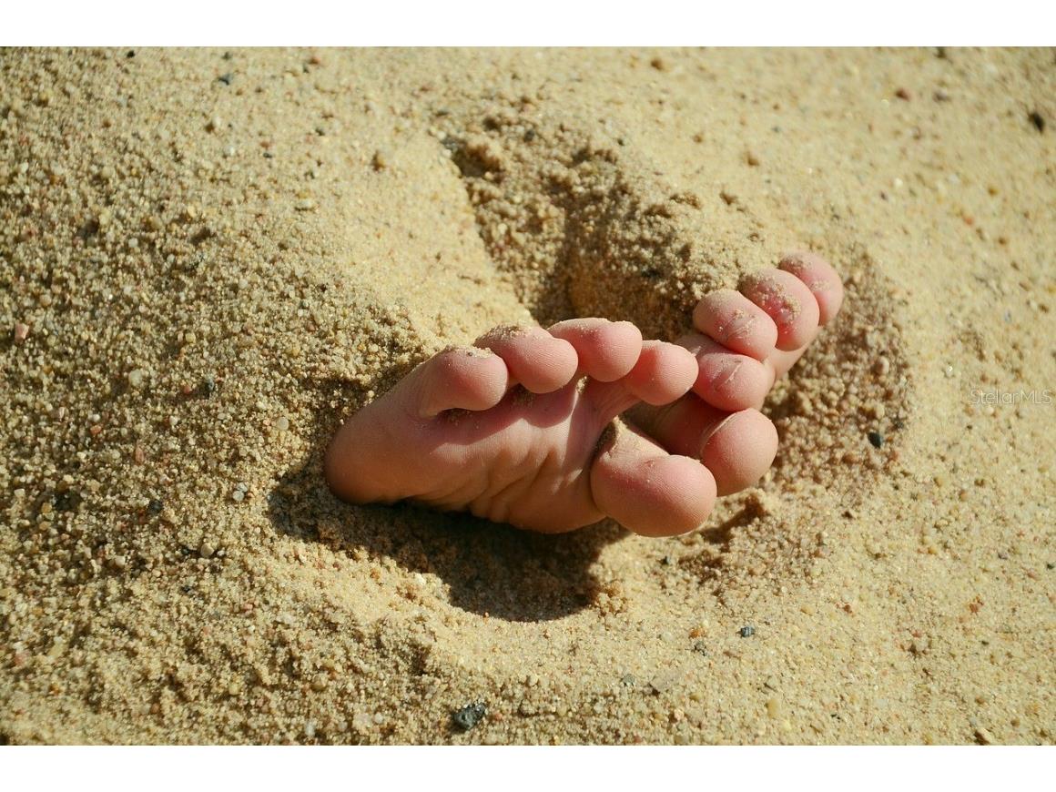 610 Apple Lane Englewood FL 34223 D6143954 image85